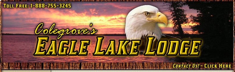 Eagle Lake Lodge offers the best fishing and hunting trips in Ontario, Canada. Our canadian fishing lodge, canada camp and ontario fishing resort boasts world class walleye and musky fishing at Eagle Lake Lodge.